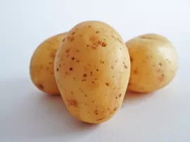 Consejos para prevenir la pulguilla de la patata Epitrix similaris
