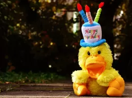 100 frases divertidas para celebrar cumpleaños con imágenes