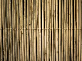 quotesEncuentra las mejores persianas de bambú en Bricodepot comparativa y precios
