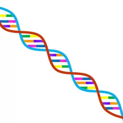 Veracidad de las pruebas de ADN Puede una prueba equivocarse