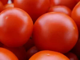 El mejor tomate natural triturado marca Hacendado de Mercadona
