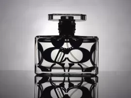 Descubre las mejores ofertas en perfumes Zadig  Voltaire en Primor